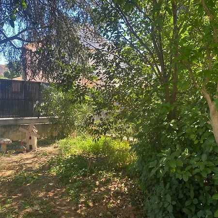 Hébergement de vacances Rez De Grand T2 Proche Marvivo-sablettes La Seyne-sur-Mer