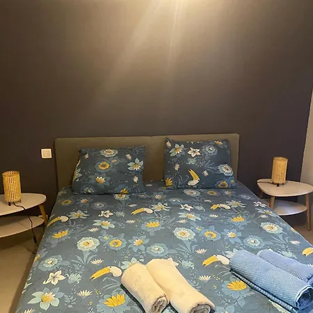 Rez De Grand T2 Proche Marvivo-sablettes * La Seyne-sur-Mer